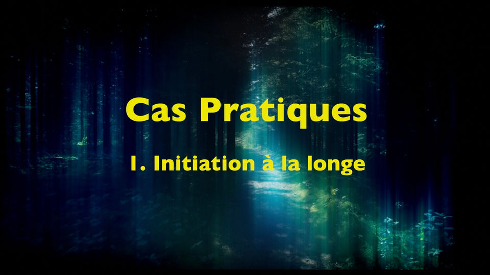 PRATIQUE 1 - Initiation à la longe